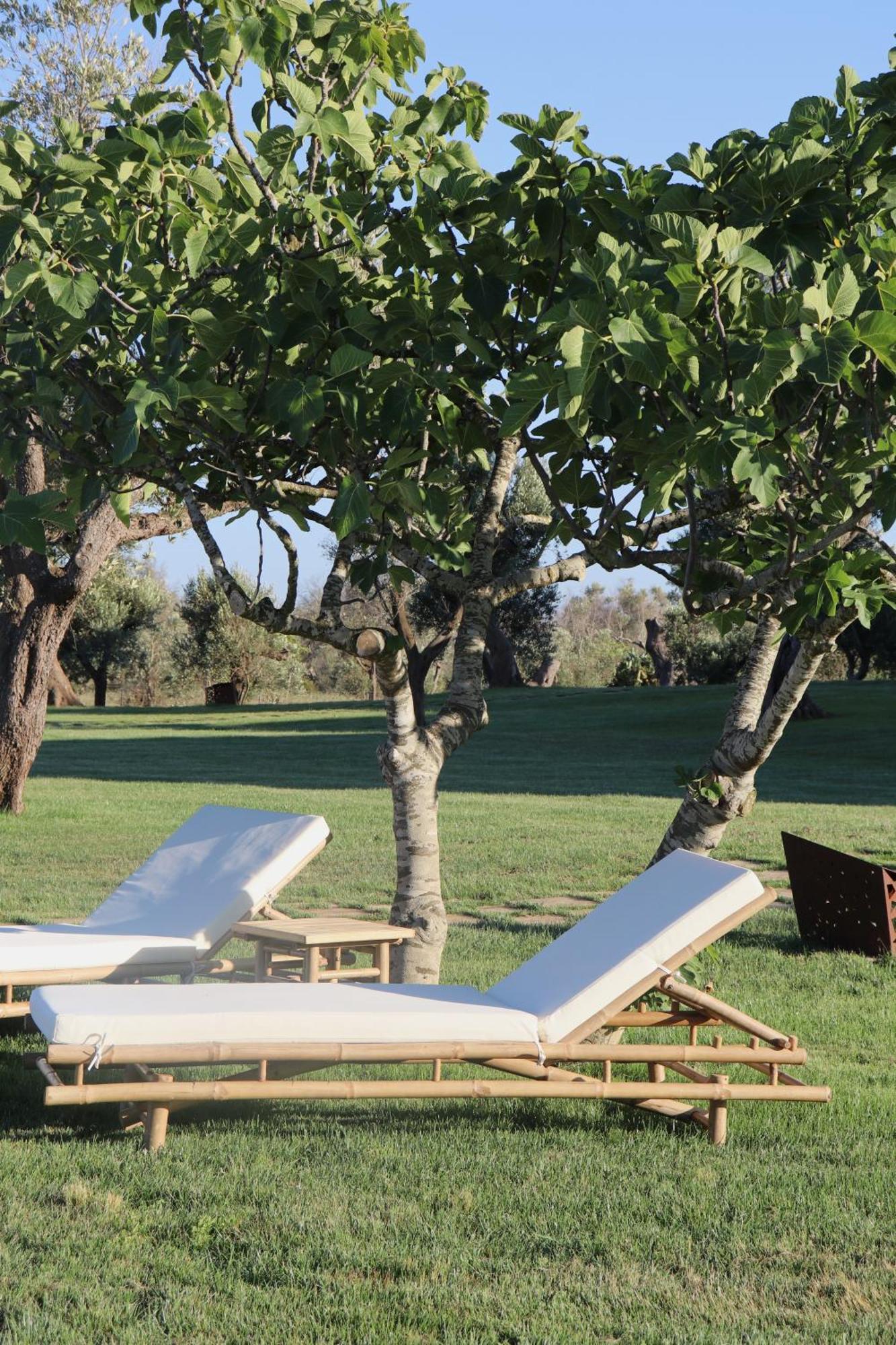 Secolario Masseria Del Viverbene Palmariggi Exterior foto